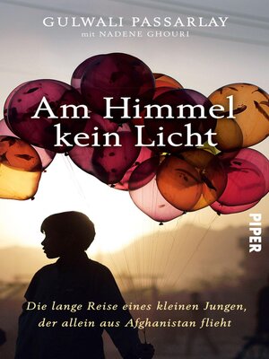 cover image of Am Himmel kein Licht